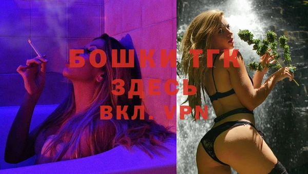 первитин Коряжма