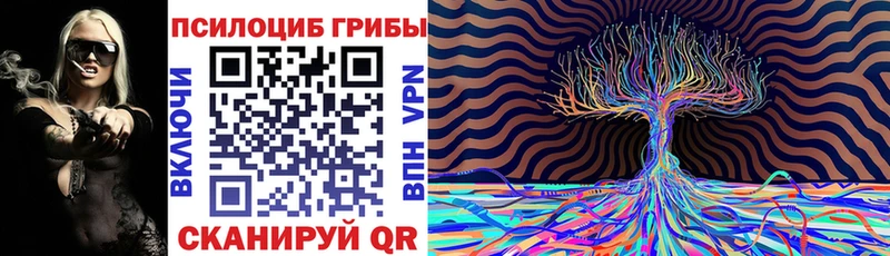 Псилоцибиновые грибы Psilocybine cubensis  Пролетарск 