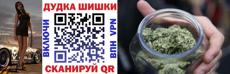 Канабис сатива  Пролетарск 